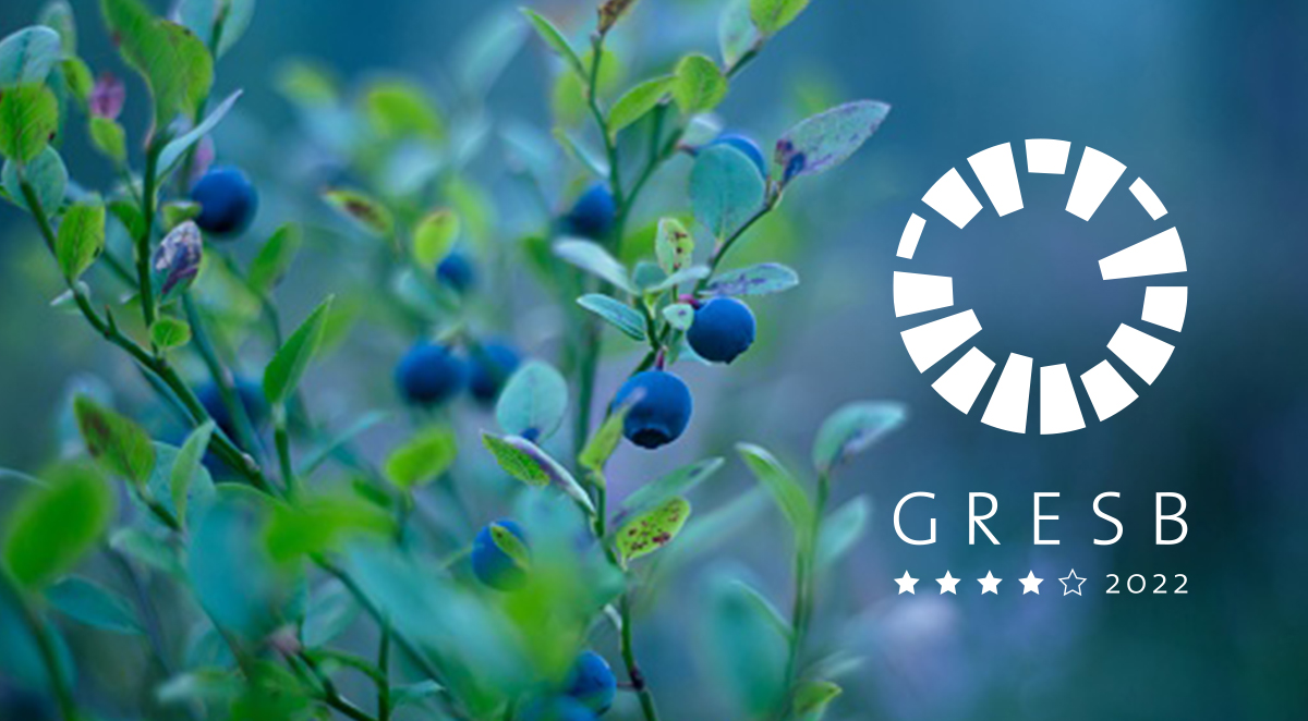 Loiste-yhtiöt paransi sijoitustaan infrastruktuurialan kansainvälisessä GRESB- vastuullisuusarvioinnissa. Loiste-yhtiöt sijoittui kansainvälisessä vertailuryhmässään viiden parhaan joukkoon tuloksellaan 92/100.