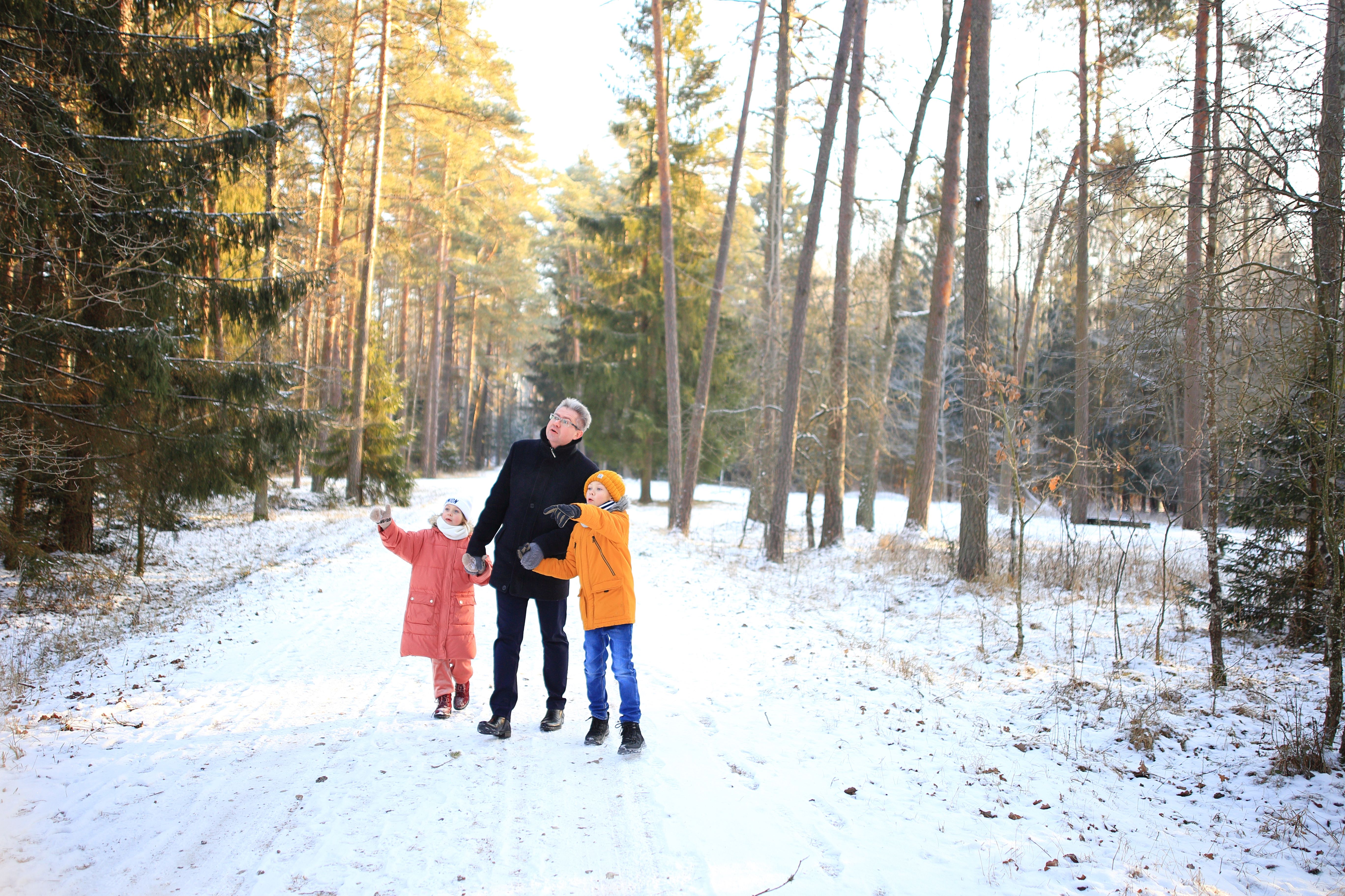 The family walks along a winter forest